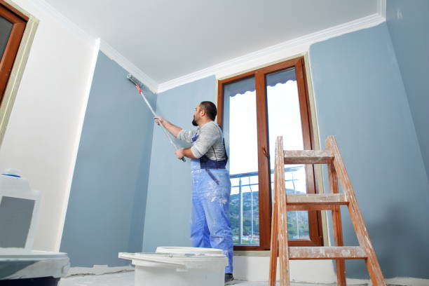 Professional Mold Removal in Port Edwards, WI