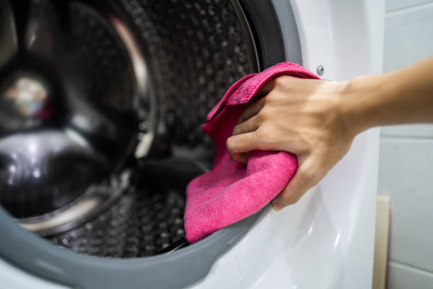 Best Mold Odor Removal Services  in Port Edwards, WI