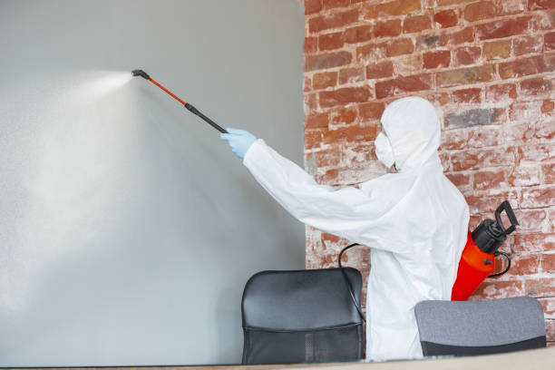 Best Mold Prevention Services  in Port Edwards, WI
