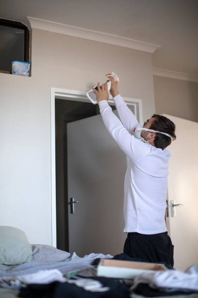 Best Basement Mold Removal  in Port Edwards, WI