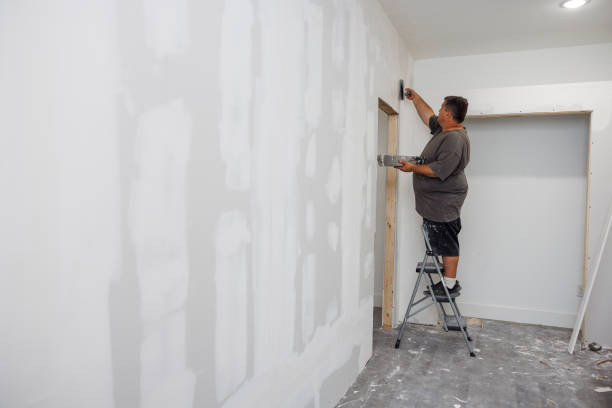 Best Environmental Consulting for Mold Prevention  in Port Edwards, WI