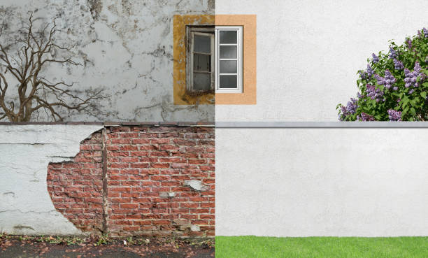 Best Mold Documentation for Insurance Claims  in Port Edwards, WI