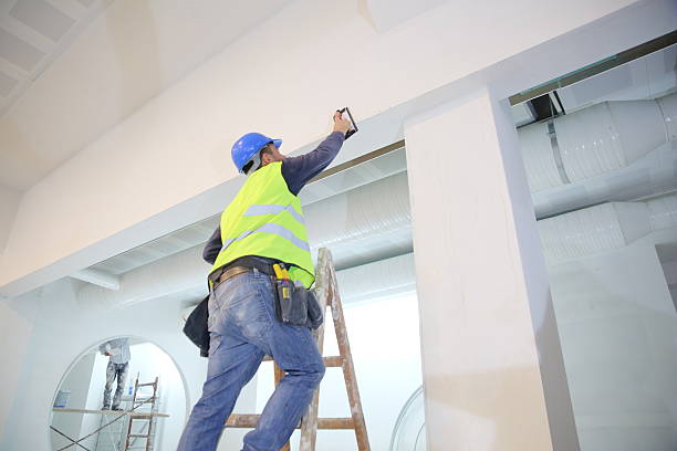 Best Basement Mold Removal  in Port Edwards, WI