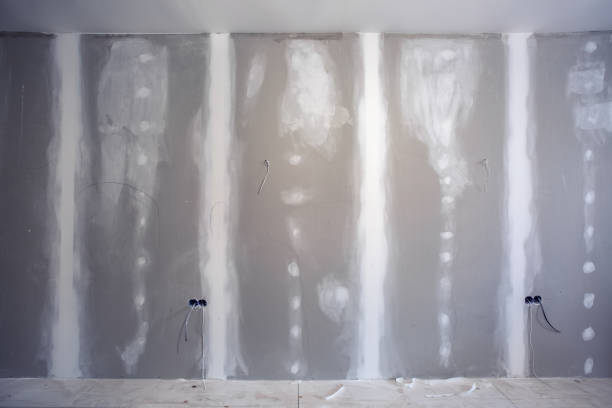 Best Black Mold Removal  in Port Edwards, WI